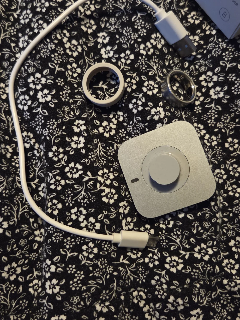 Oura Brushed Silver Size 8